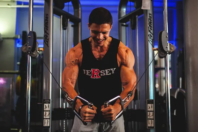 Trening push pull legs